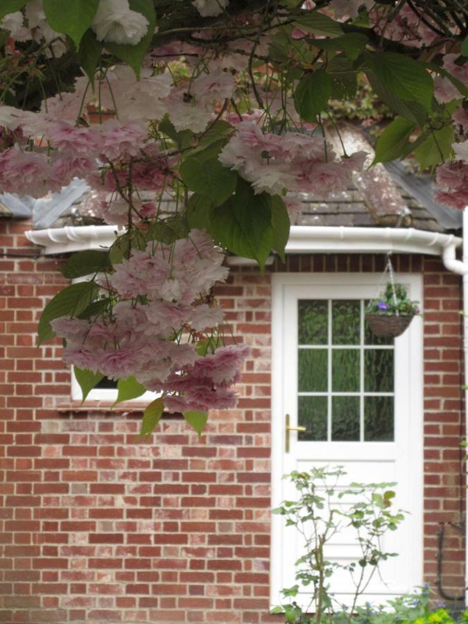 Shear Annexe Flat Apartman Cambridge-i reptér Kültér fotó
